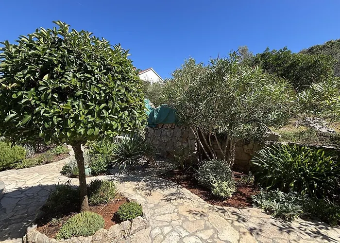 Apartment With Parking Space Lukoran, Ugljan - 25081